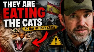 THEY ARE EATING THE CATS "No Hay Gatos En Ceuta!"