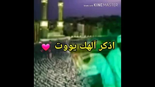 اولاد البرعي اذكر آلهك يووت حالات واتس اب 