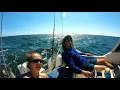 Ep 53 Sailing to Beer Can Island Tampa Bay