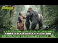 Lagu VIRAL !! DI FITNAH PUNYA ILMU HITAM DAN DI BUANG KE HUTAN NENEK MISKIN DITOLONG GORILA PENJAGA HUTAN