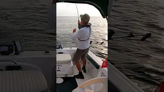 Chinook “King” Salmon Lake Ontario #fishing #salmon #lakeontario