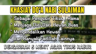 pengusir tikus dan hewan buas berbisa masuk dalam rumah doa nabi sulaiman