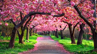 RESTAURAÇÃO DO SISTEMA NERVOSO 🌿 Música suave que acalma o sistema nervoso e agrada a alma #14