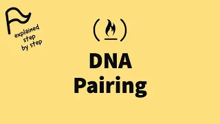 STEP BY STEP FreeCodeCamp - DNA Pairing