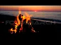 Download Lagu Steelheart- forgive me Lyrics