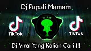 Download DJ PAPALI MAMAM VIRAL TIKTOK TERBARU 2023 YANG KALIAN CARI !!! MP3