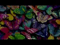 Fito Paez - Mariposa Tecknicolor || Letra