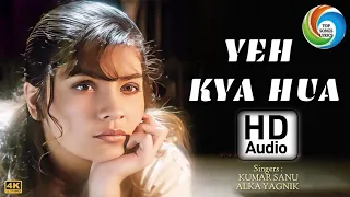 Download Yeh Kya Hua (यह क्या हुआ) Tamannah {1997} | Alka Yagnik, Kumar Sanu | Indeevar | Anu Malik | Pooja MP3