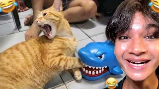 World’s *FUNNIEST* CAT's ON INTERNET 😂 | PPLT PT03