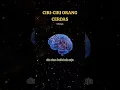 Download Lagu ciri-ciri orang yang cerdas menurut psikologi
