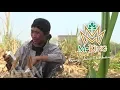 Download Lagu Keanekaragaman Indonesia ( Iklan Jamu tetes M-king )  Rajanya jamu tetes indonesia