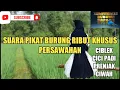 Download Lagu MASTERAN PIKAT AREA SAWAH AMPUH || PRENJAK CICI PADI CICI MERAH CIBLEK SAWAH