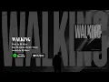 Download Lagu DJ Skizo, Mistaman, Davide Shorty feat. Dj Ghost aka Steeni - WALKING (Visualizer)