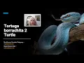Tortuga borrachita 2 en Python Turtle