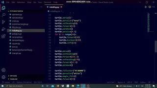 Drawing Indian National Flag using Python Turtle Independence Day 2021