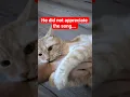 Download Lagu Stinky kitty #funny #fup #viral #jokes #cats #cat #catdad #pets #kitty #kitten #catfight