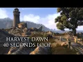 Lagu Elder Scrolls IV: Oblivion - Harvest Dawn |  First 40 Seconds Looped (1 Hour)