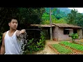Download Lagu Away from the City: A Young CEO Builds a New Life in Nature, Renovating Houses and Gardening.