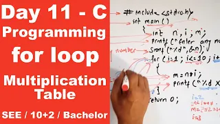 Multiplication Table in C Program example of for loop Day 11 Readersnepal