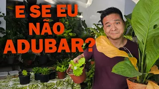 E se eu NÃO ADUBAR NUNCA!