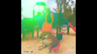 Didine Canon 16 Madloum انا وقفت معاك فضيق 