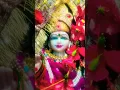 Download Lagu chala na Sakhi Hali Hali chala na Sakhi Hali Hali Mai Darbar🚩🚩🙏🙏🌺🚩🚩 na