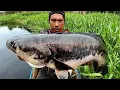Download Lagu MANCING TOMAN‼️JORANKU SAMPAI PATAH JADI TUMBAL IKAN TOMAN MONSTER/ FISHING FISH