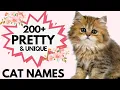 200 Pretty and Unique Female Cat Name Unique and Rare Cat Names Girl Cat Names