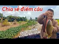 Download Lagu Câu Cá .Chia Sẻ Điểm Câu Dễ Tìm Lại Có Nhiều Cá Rô Đồng, Thác Lác Bự Bỏ Mồi Xuống Là Giật