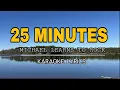 Download Lagu 25 MINUTES - MICHAEL LEARNS TO ROCK #cover  #jane  / Jane Fordan Official