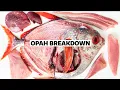Download Lagu How to Fillet a WHOLE OPAH with Tommy Gomes