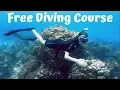 Download Lagu My Experience of PADI Freediver Course Level 1