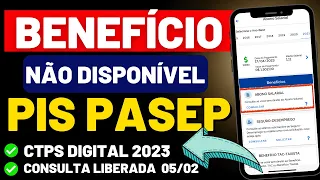 PIS PASEP Benefício Não Encontrado! Não Tem Direito Ao Abono Salarial - CTPS Digital Com Erro