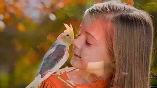 متعودين نشوف عيونك دندنها