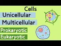 Cells - Unicellular vs Multicellular plus Prokaryotic vs Eukaryotic