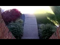 FedEx Fail