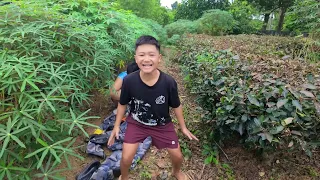 Cười Ra Nước Măt Với Màn Bắt Ong Vô Cùng Độc Đáo Và Cách Chế Biến Chuẩn 5 Sao Của Mao Đệ Đệ