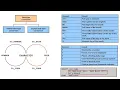 SQL-Lecture-20 Conversion Functions - Implicit Explicit Function