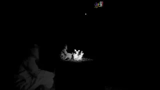 ماودعوني ياس خضر 