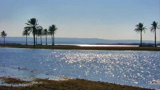 ياناسي هوايا هناء مهدي Alaa Albakly 