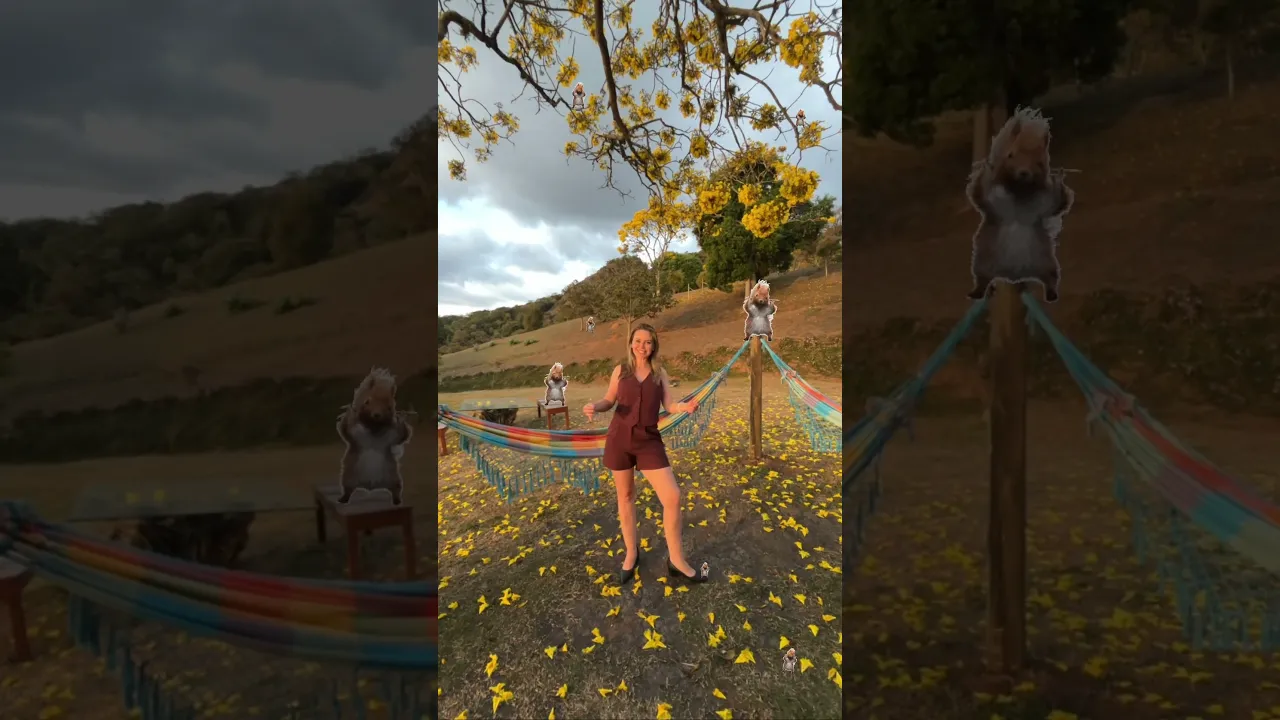 Video do Imóvel: Imagine finalizar o dia com este por do sol