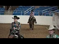 Download Lagu Arabian Western Pleasure JTR Championship 14 \u0026 Under 2021 Scottsdale
