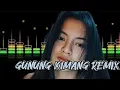 🌴LAGU JOGET GUNUNG KIMANG REMIX// NIKSON REMIXER