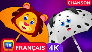 Pluie pluie sors d`ici | ChuChu TV Comptines et Chansons pour Enfants #ChuChuTV100M