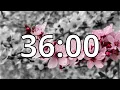 36 Minutes Timer with Music Cherry Blossom Timer
