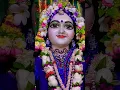 Download Lagu RADHE 🌸 RADHE 🙏🌼🌺🌿#radheshyam #radhavallabh #vrindavan #mayapurdham #music #song #live #shortsvideo