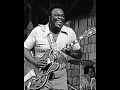 Living On The Highway - Freddie King