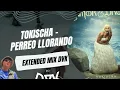 Tokischa - PERREO LLORANDO (EXTENDED MIX DVK)