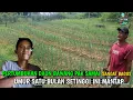 Download Lagu SULIT DI PERCAYA !! PERTUBUHAN 1 BULAN DAUN BAWANG MAS SAMAI SUDAH. SETINGGI INI PEMUPUKAN 1 KALI