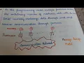 PRAM Parallel Random Access Machine MCSE 011 previous yr essay repeated Questions block NOTES 7 6